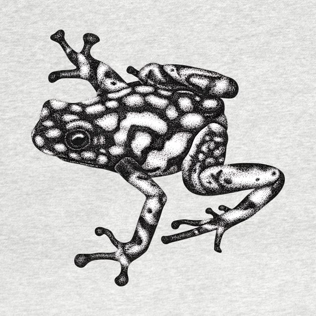 Harlequin poison frog illustration by lorendowding